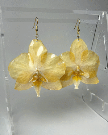 Preserved yellow orchid earring dipped in resin.