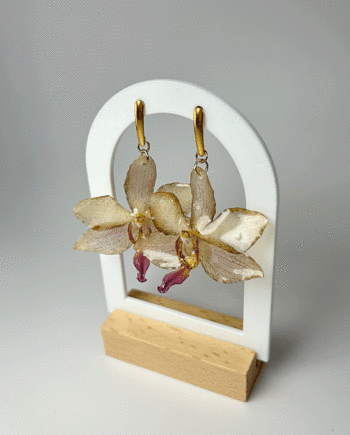 Dark yellow preserved orchid earring dipped in resin.